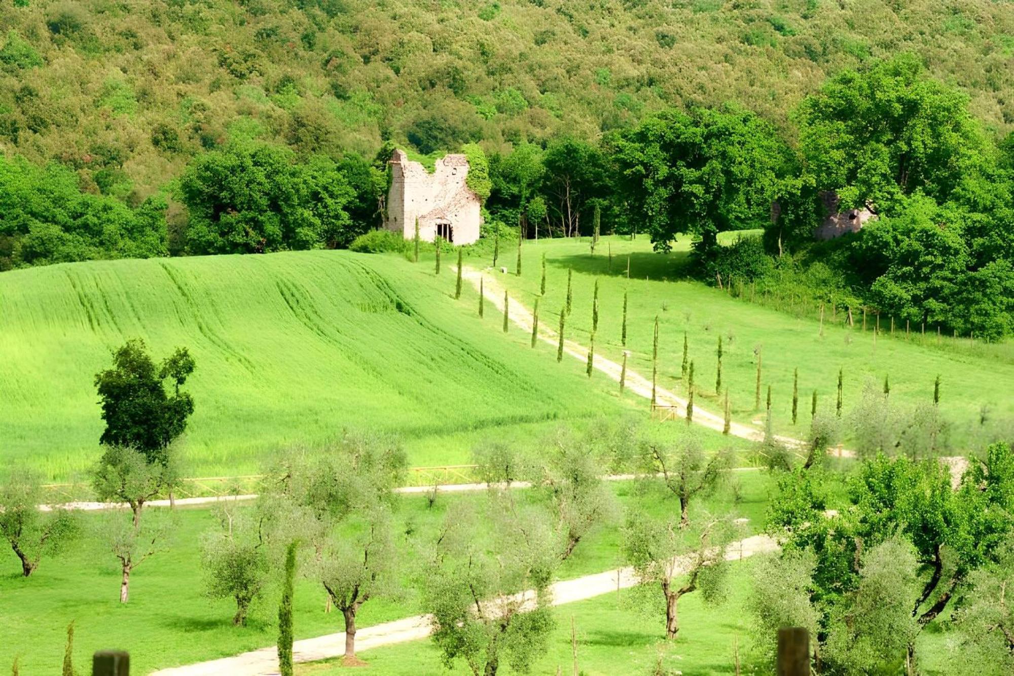 Tenuta Del Gallo Amelia Luaran gambar