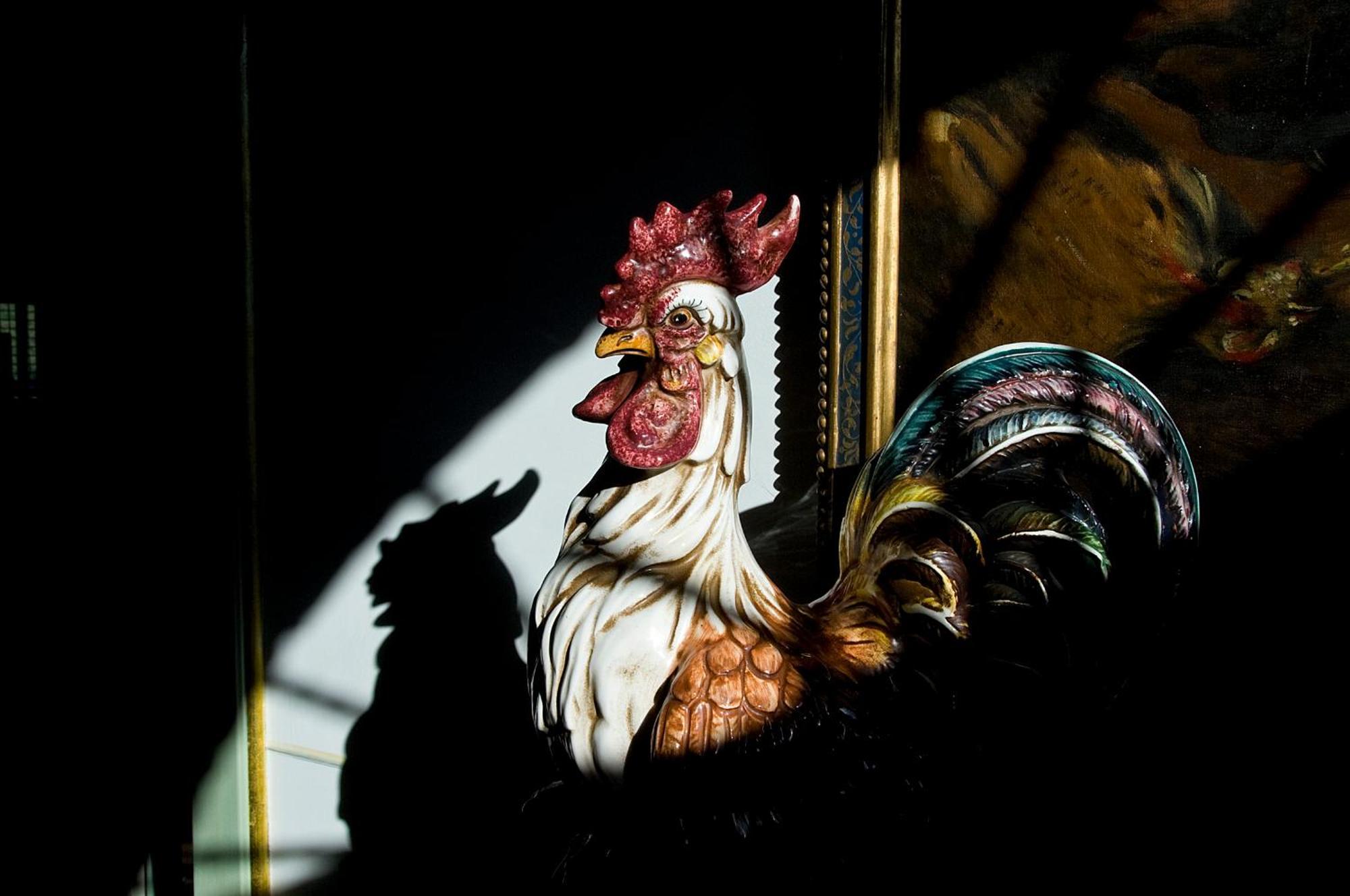 Tenuta Del Gallo Amelia Luaran gambar